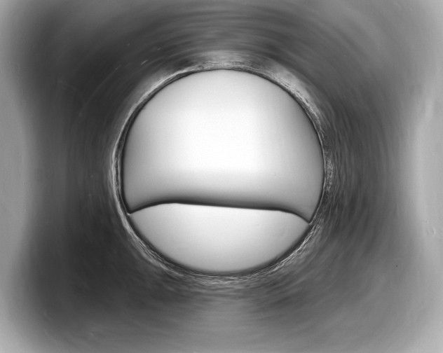 X0000098231047200804241157