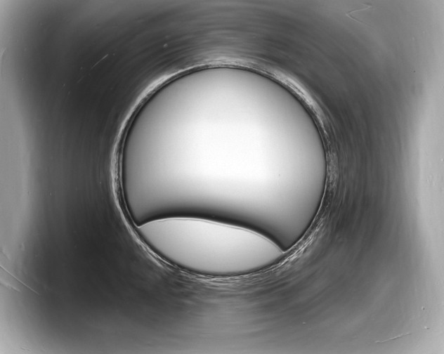 X0000098231048200804241157