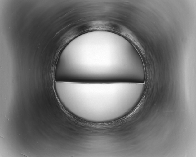 X0000098231049200804241157
