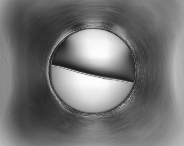 X0000098231050200804241157