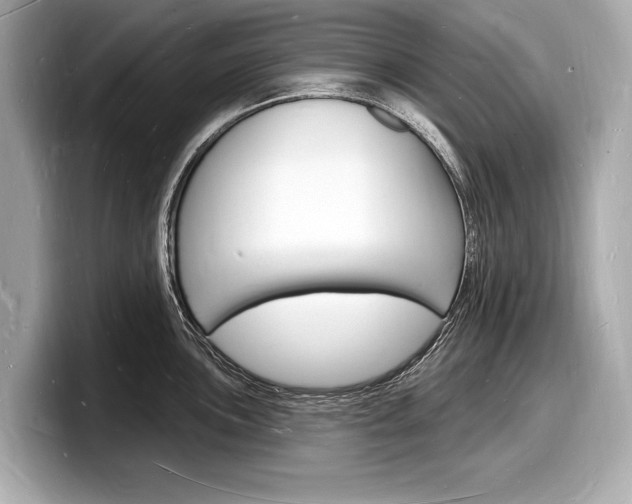 X0000098231051200804241157