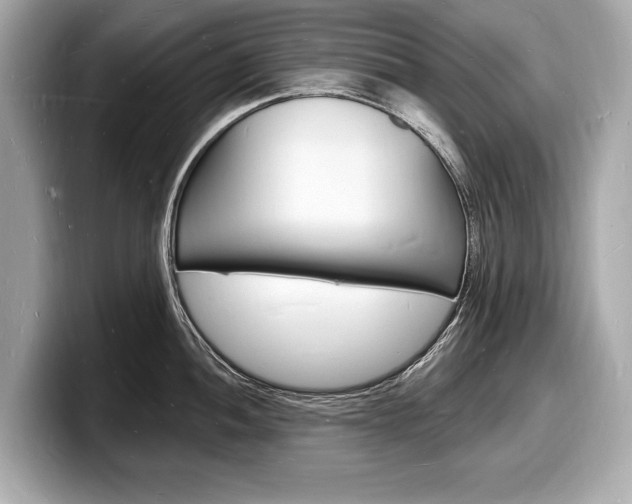X0000098231052200804241157