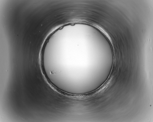 X0000098231053200804241157