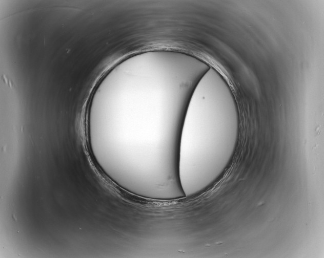 X0000098231055200804241157