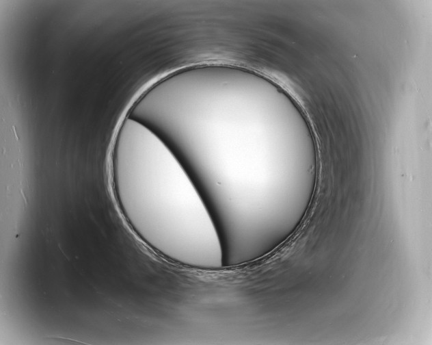 X0000098231056200804241157