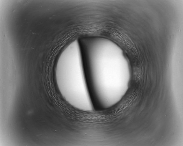 X0000098231057200804241157
