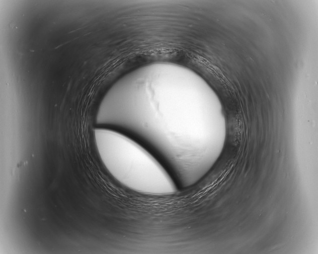 X0000098231058200804241157