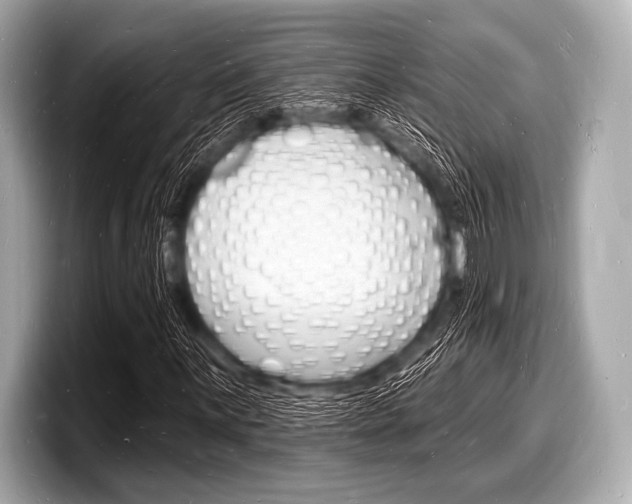 X0000098231059200804241157