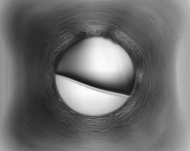 X0000098231060200804241157
