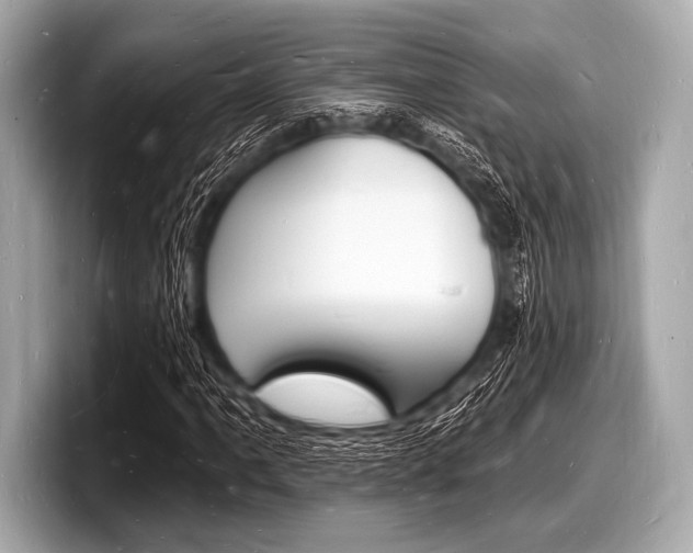 X0000098231061200804241157