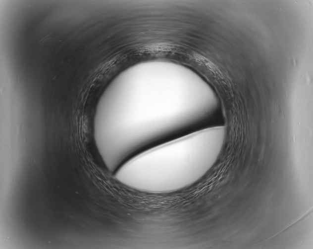 X0000098231062200804241157