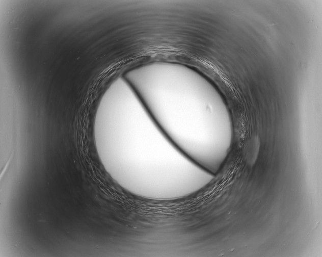 X0000098231063200804241156
