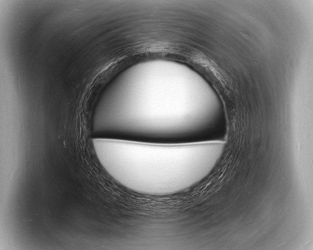 X0000098231064200804241156