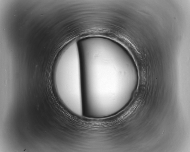 X0000098231065200804241156