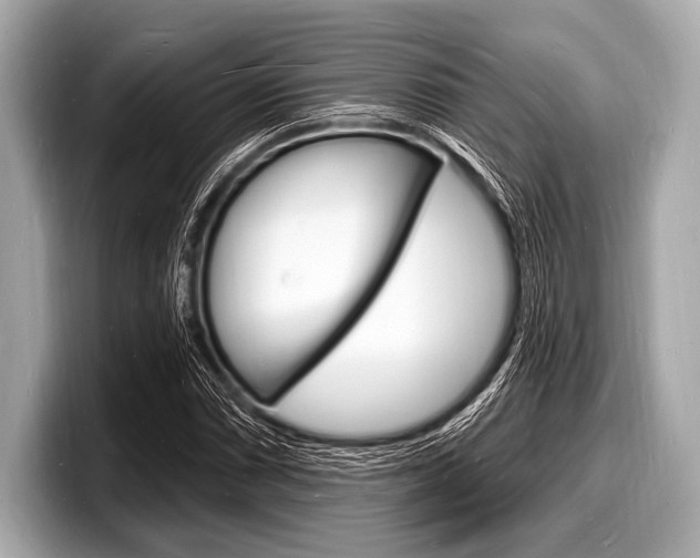 X0000098231066200804241156