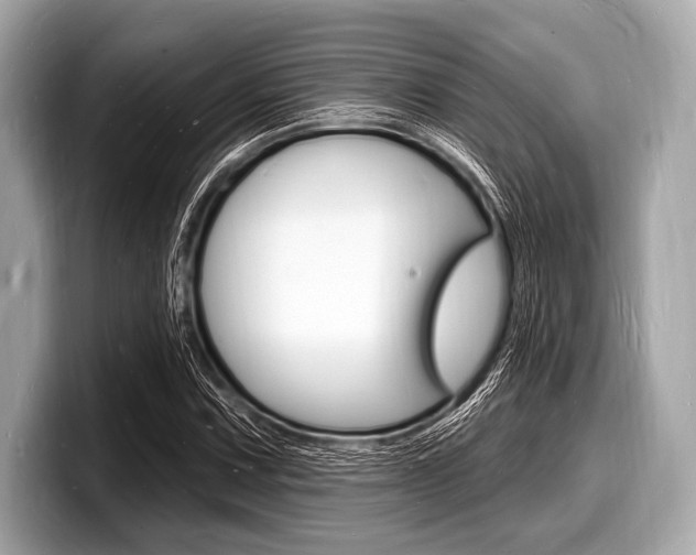 X0000098231067200804241156