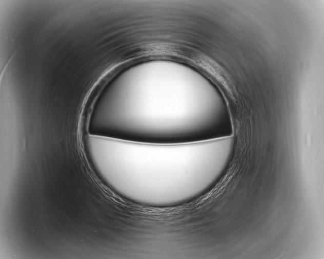 X0000098231068200804241156