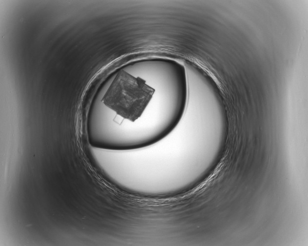 X0000098231069200804241156