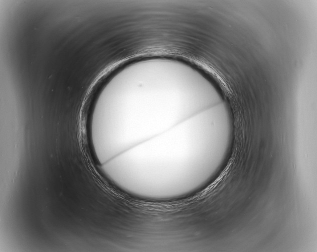 X0000098231070200804241156