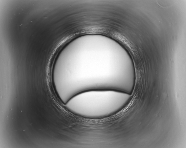 X0000098231071200804241156