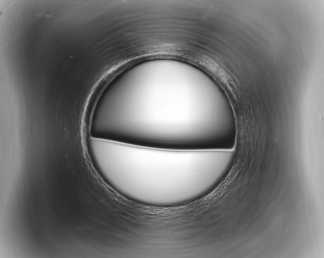 X0000098231072200804241156