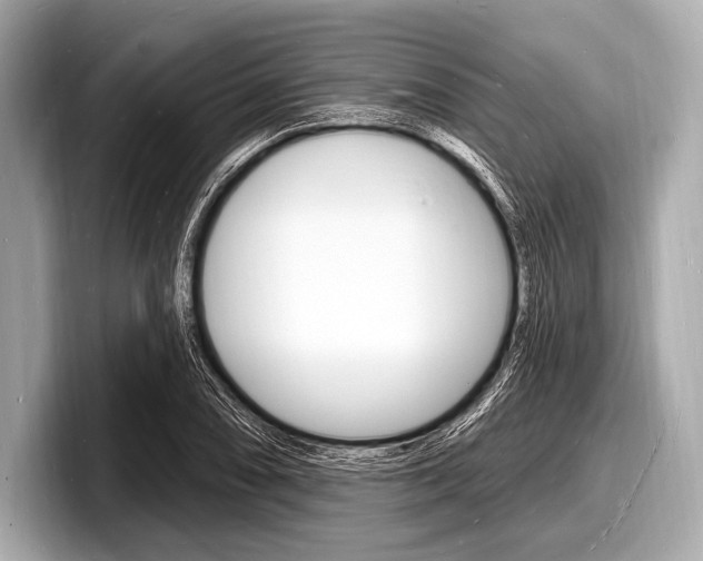 X0000098231074200804241156