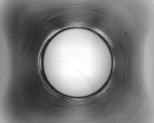 X0000098231078200804241156