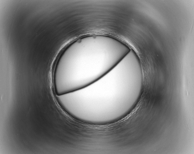 X0000098231079200804241156