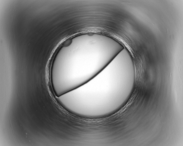 X0000098231083200804241156