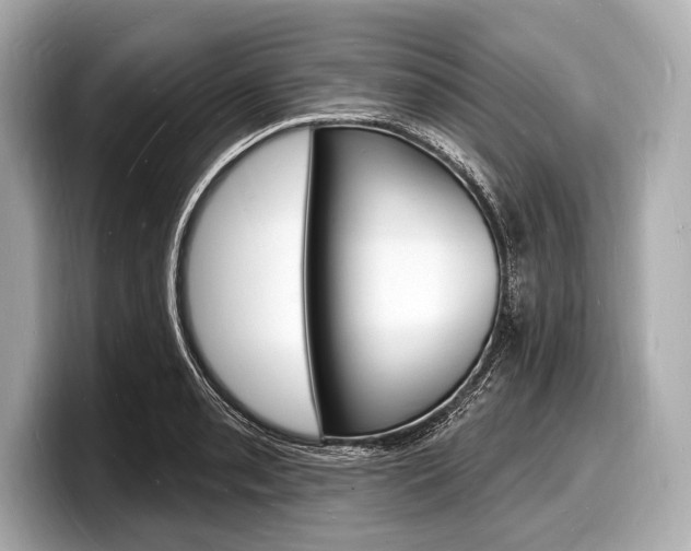 X0000098231085200804241156