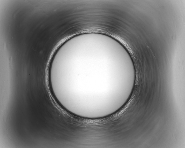 X0000098231086200804241156