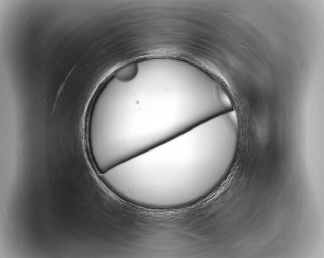 X0000098231087200804241156