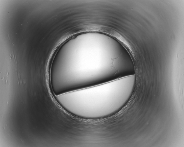 X0000098231088200804241156
