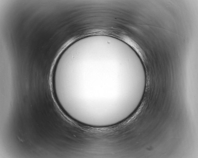 X0000098231090200804241156