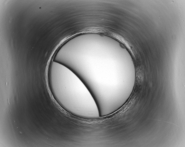 X0000098231091200804241156