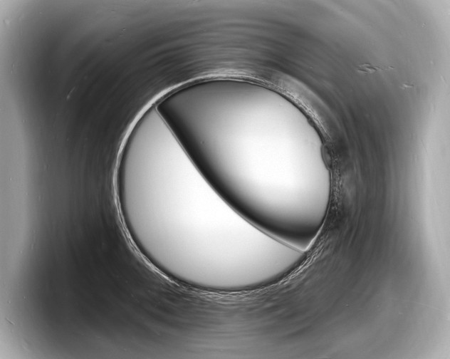 X0000098231092200804241156