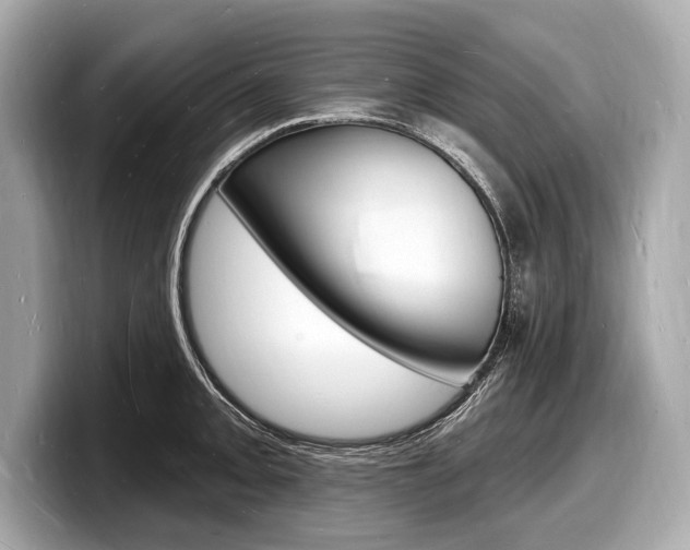 X0000098231093200804241156