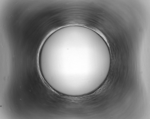 X0000098231096200804241156