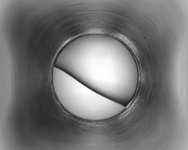 X0000098231097200804241156