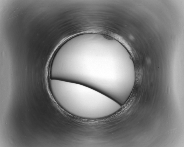 X0000098231099200804241156