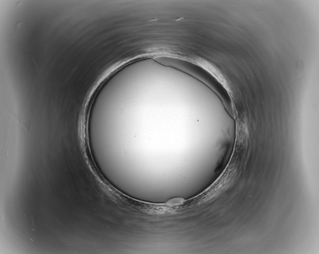 X0000098231101200804241156