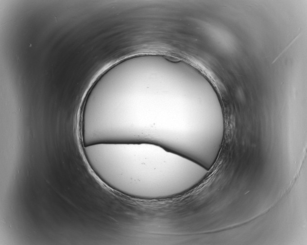 X0000098231103200804241156