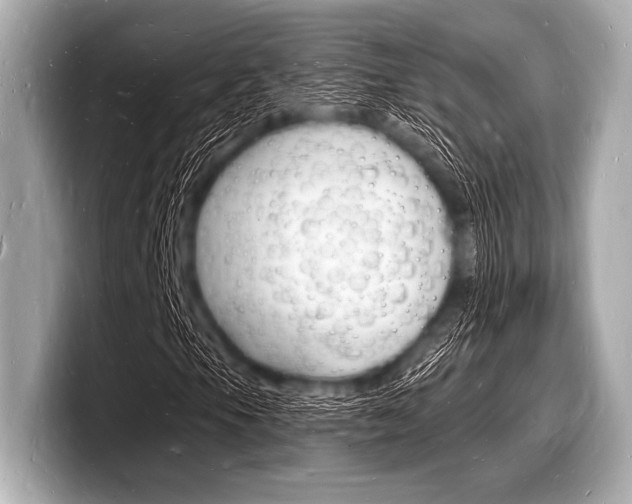 X0000098231105200804241155