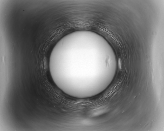 X0000098231107200804241155