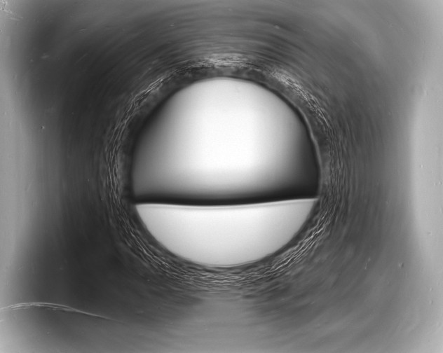 X0000098231110200804241155