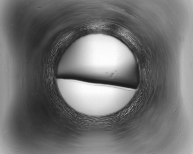 X0000098231111200804241155
