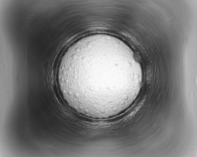 X0000098231113200804241155