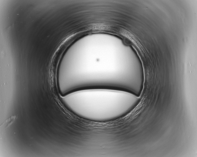 X0000098231115200804241155