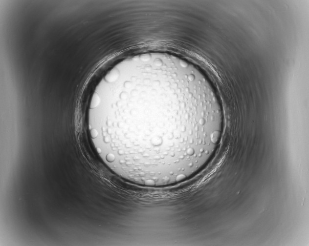 X0000098231117200804241155