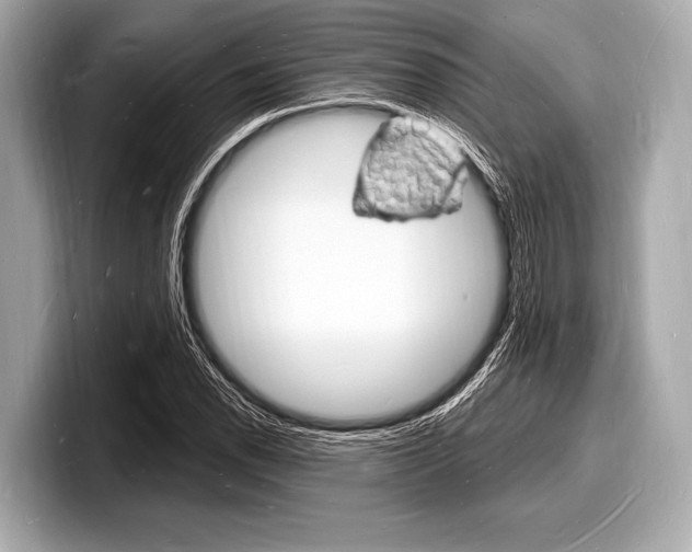 X0000098231118200804241155